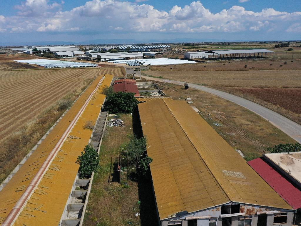 Farm - Ormideia, Larnaca