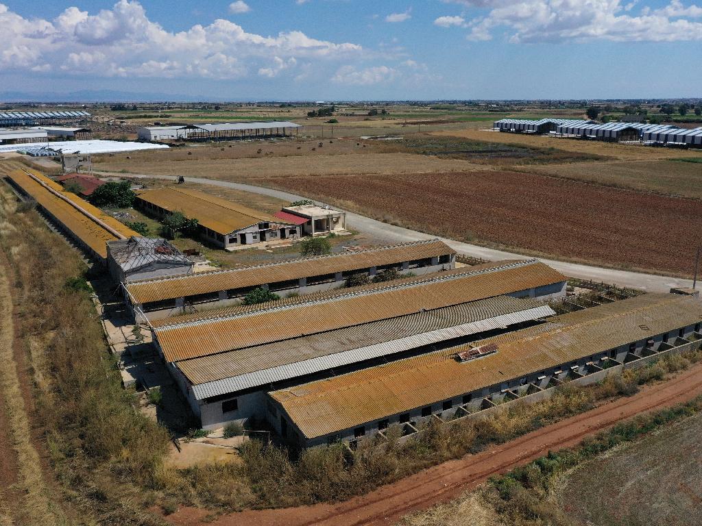 Farm - Ormideia, Larnaca