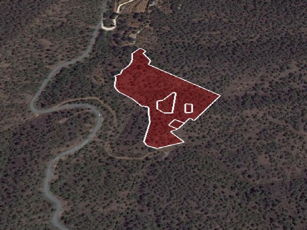 Field-Agios Epifanios (Oreinis)-PR15316
