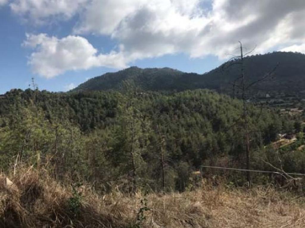 Field-Agios Epifanios (Oreinis)-PR15316