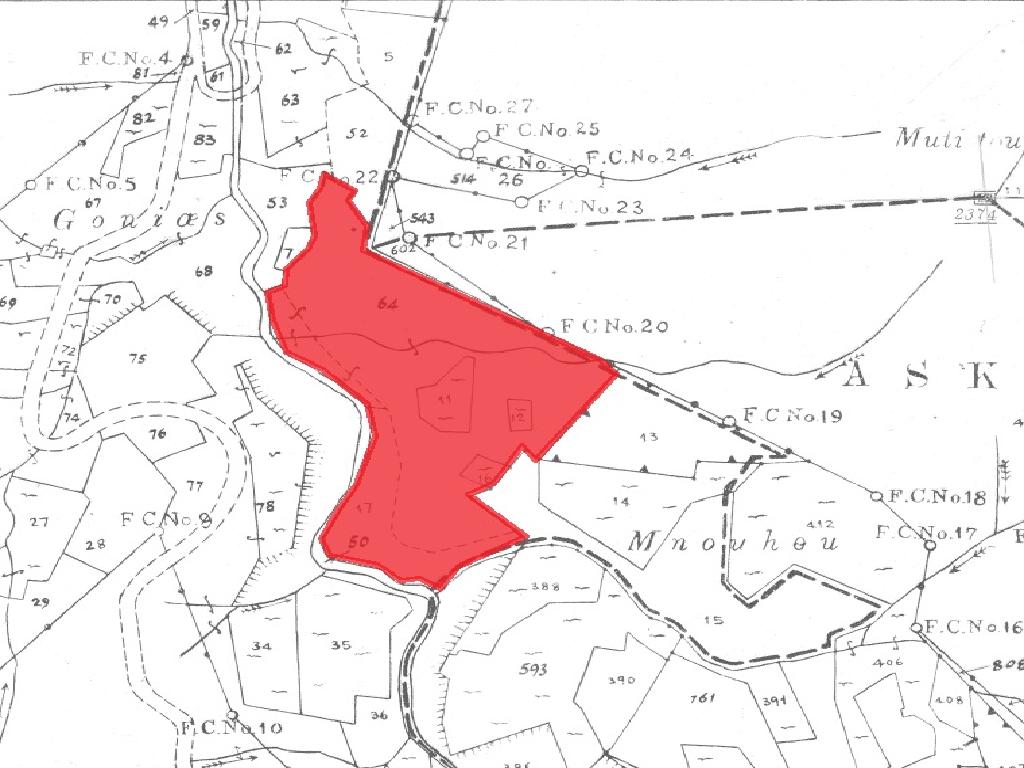 Field-Agios Epifanios (Oreinis)-PR15316