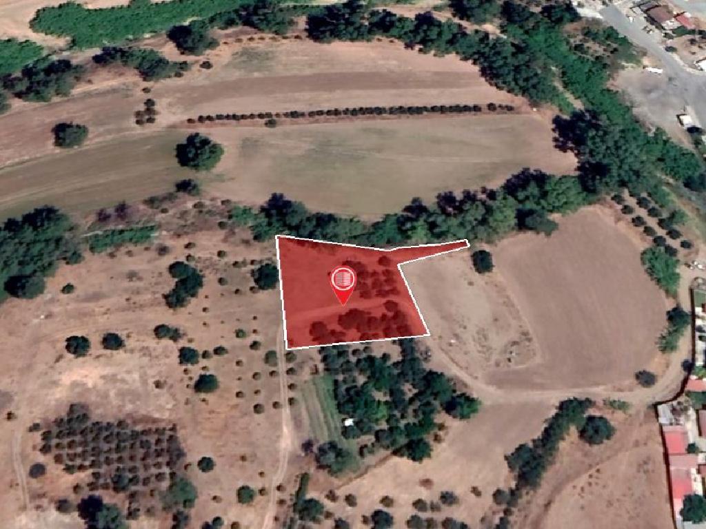 Field-Psevdas-PR14701