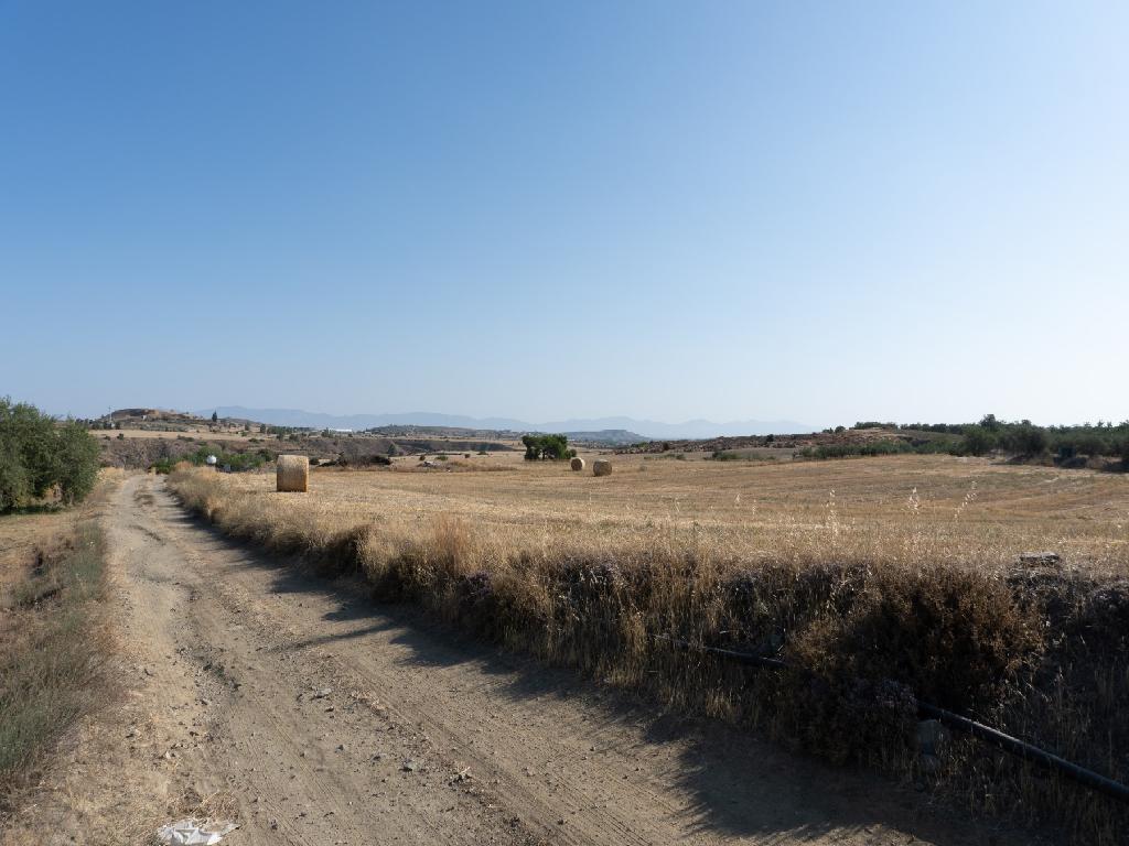 Field-Klirou-PR33382
