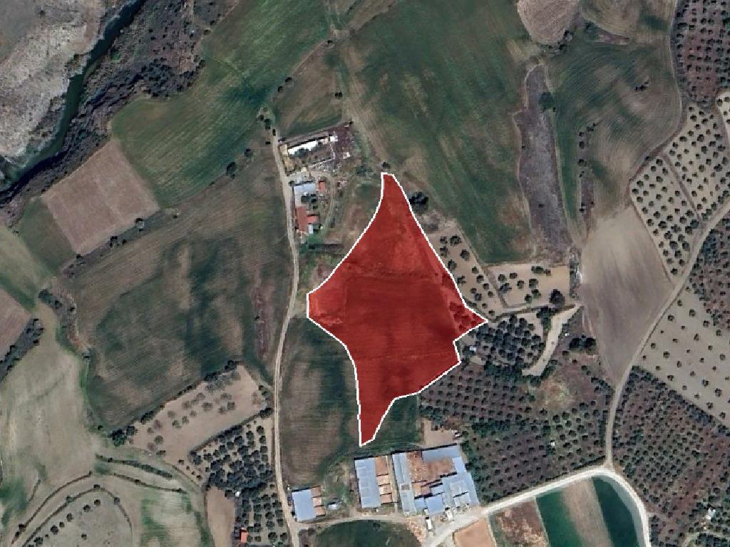 Field-Klirou-PR33382