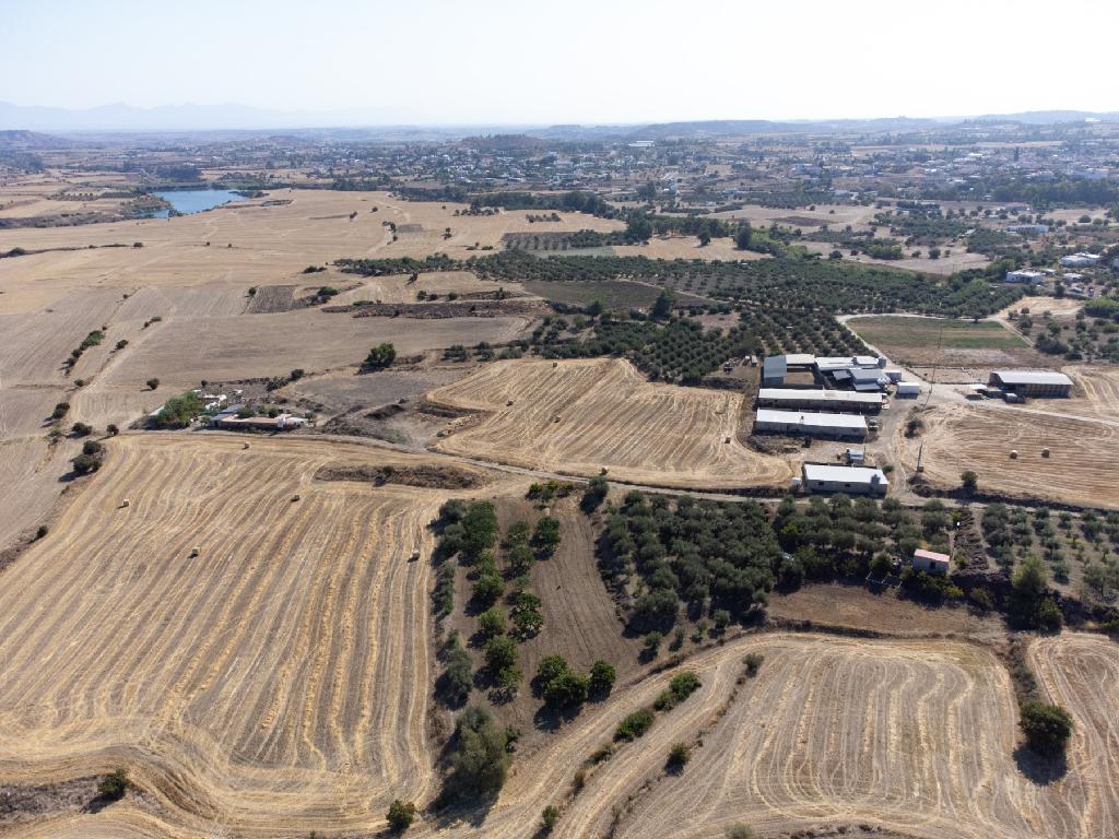 Field-Klirou-PR33382
