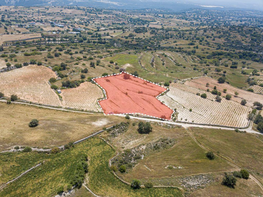 Field - Pachna, Limassol