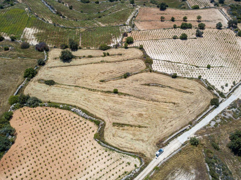 Field - Pachna, Limassol
