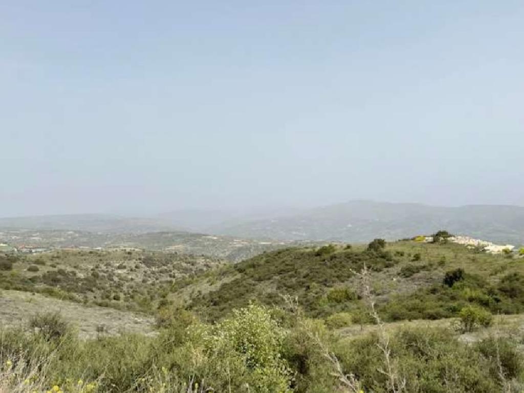 Field-Letymvou-PR35642