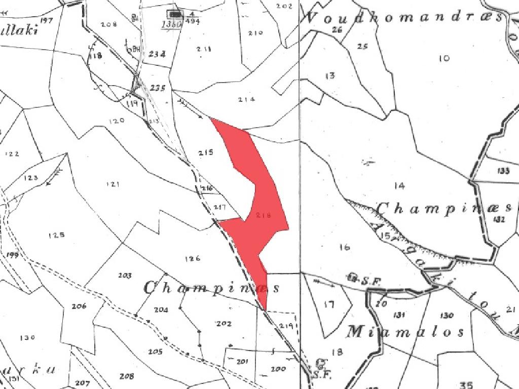 Field-Letymvou-PR35642