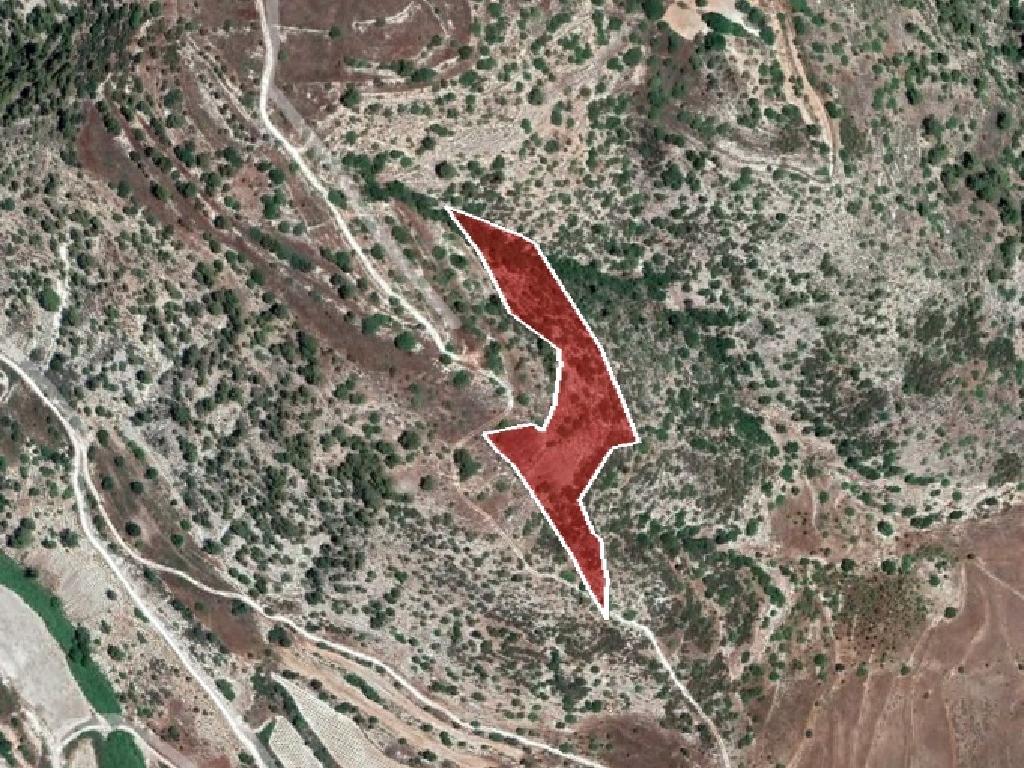 Field-Letymvou-PR35642