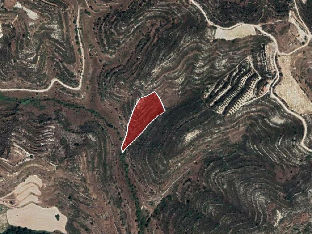 Field-Pachna-PR36908