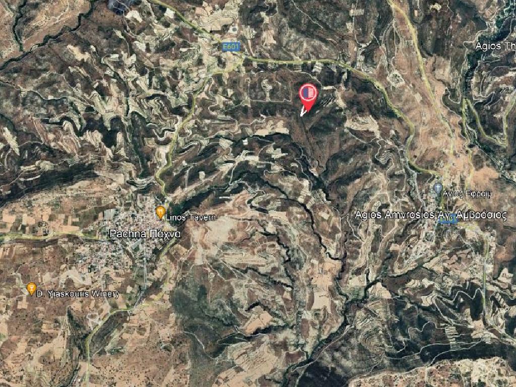Field-Pachna-PR36908