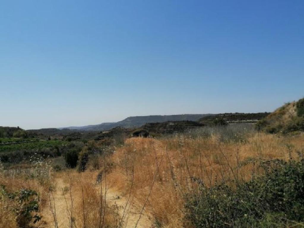 Field-Pachna-PR36908