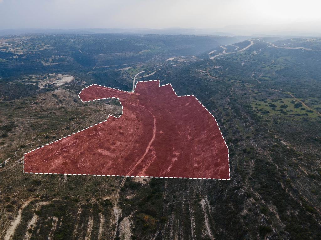 Field - Agios Amvrosios, Limassol