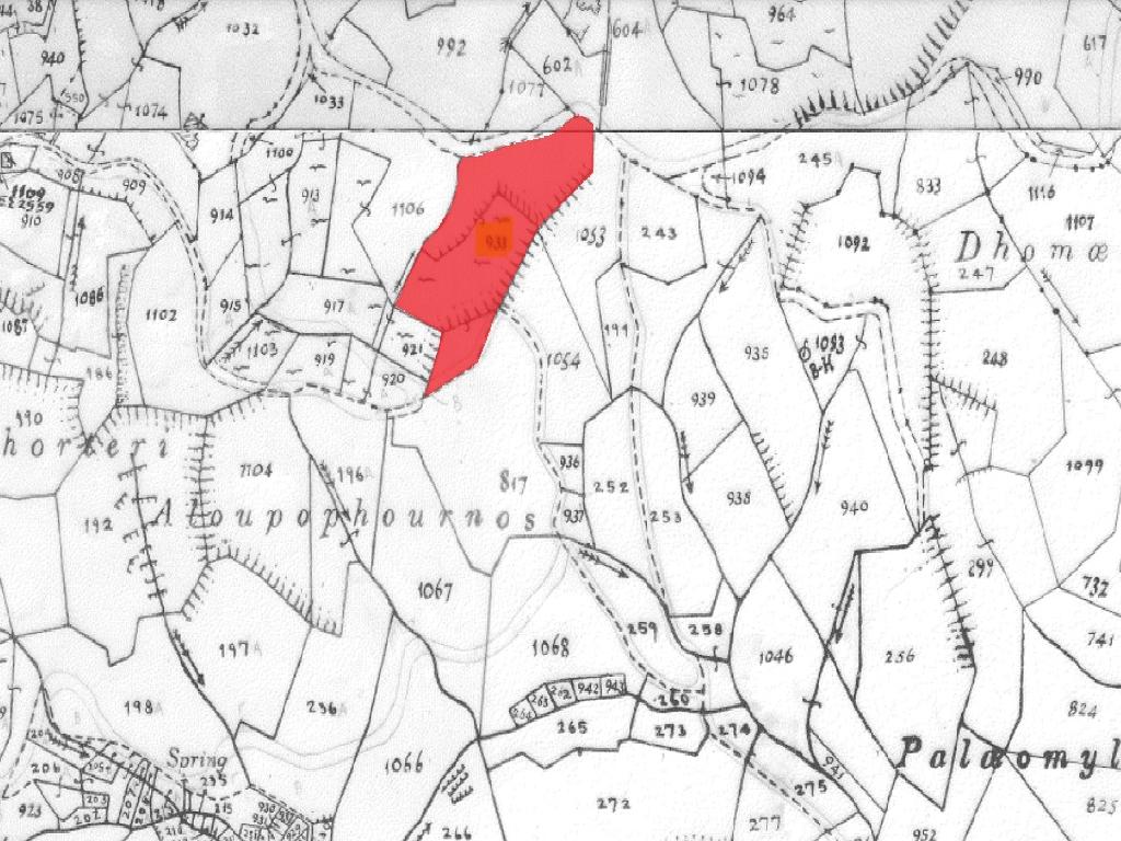 Field-Agios Epifanios (Oreinis)-PR36119
