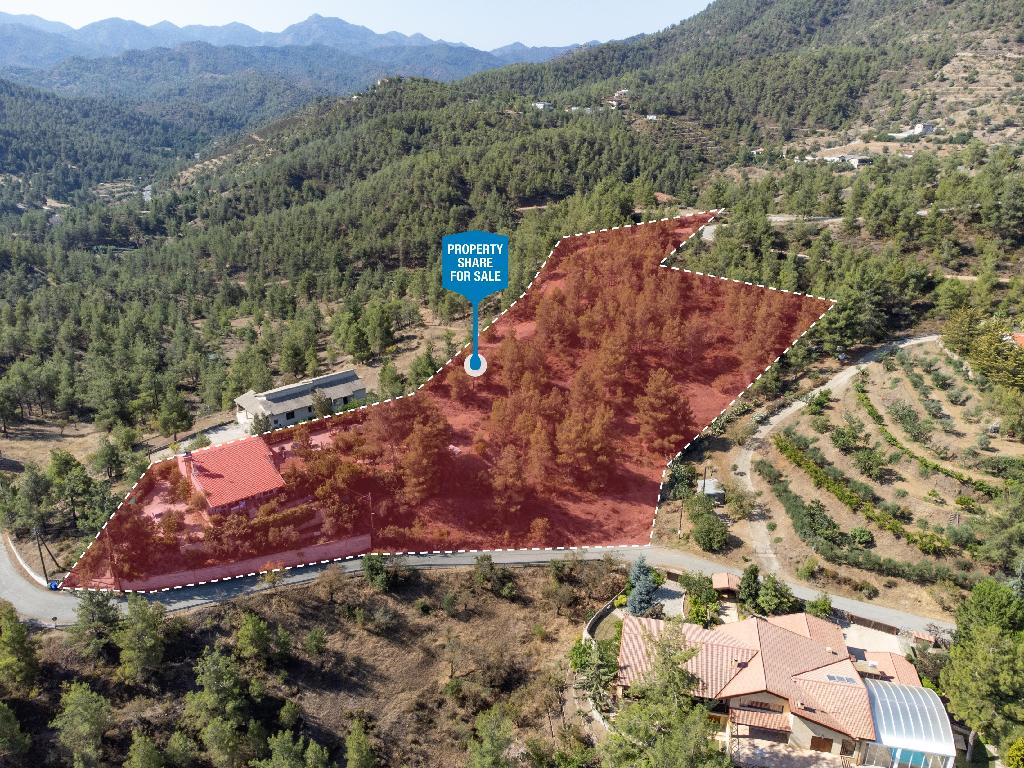 Field-Agios Epifanios (Oreinis)-PR36119