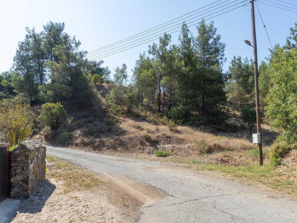 Field-Agios Epifanios (Oreinis)-PR36119