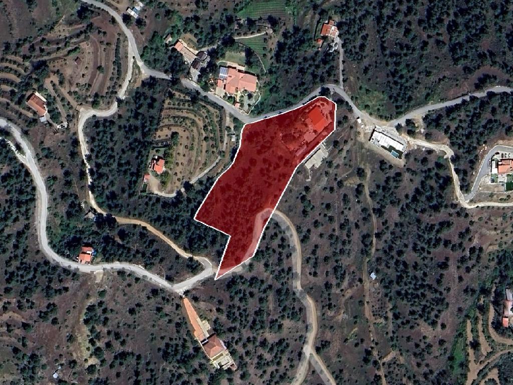Field-Agios Epifanios (Oreinis)-PR36119