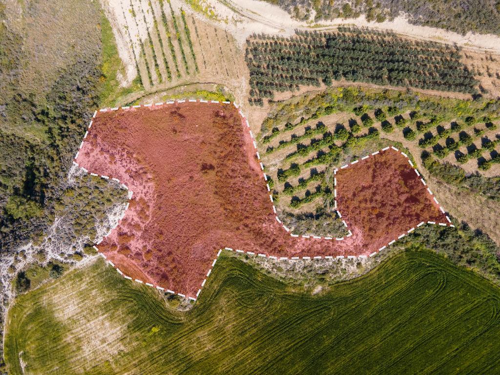 Field (Share) - Steni, Paphos