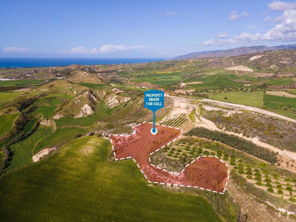 Field (Share) - Steni, Paphos