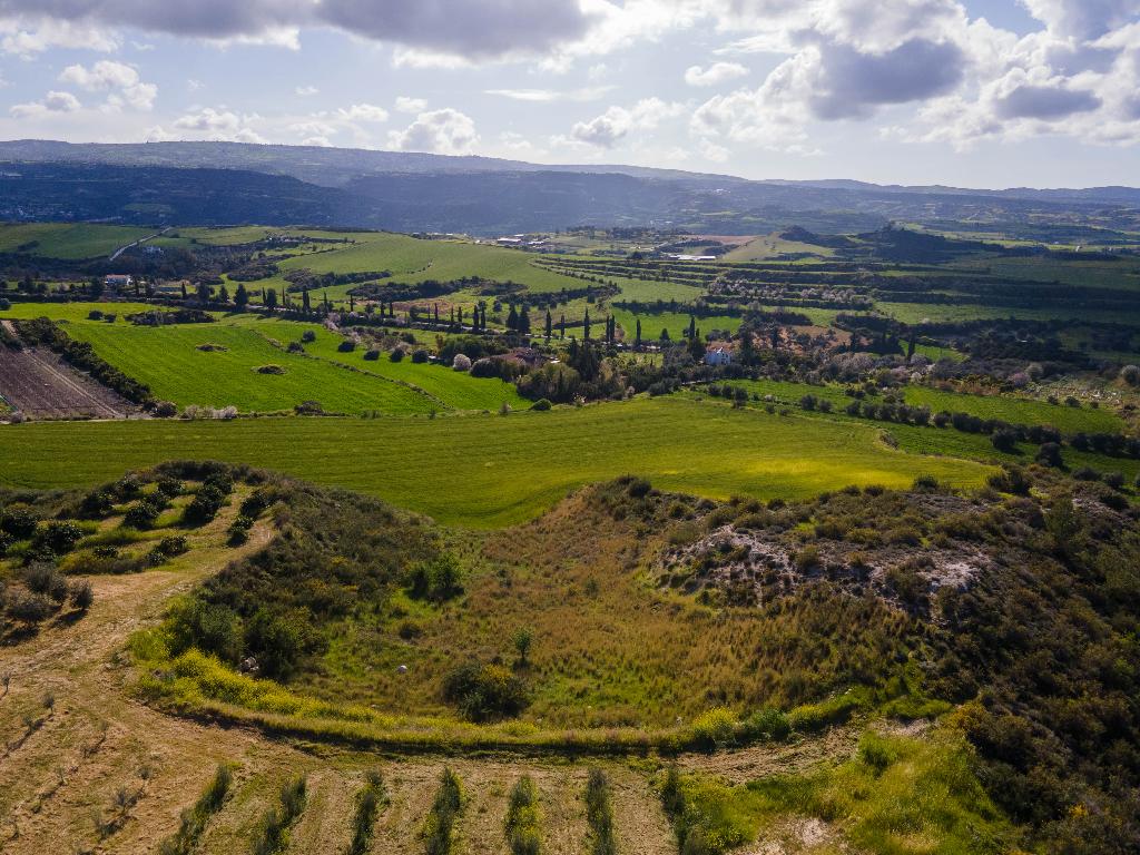 Field (Share) - Steni, Paphos