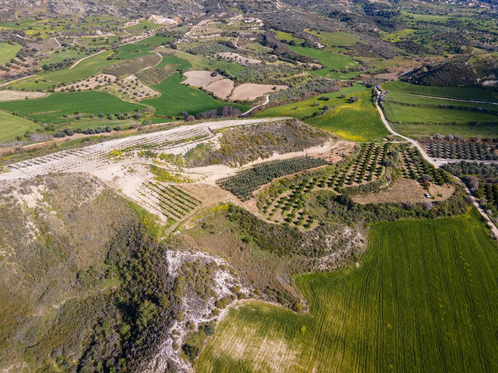 Field (Share) - Steni, Paphos