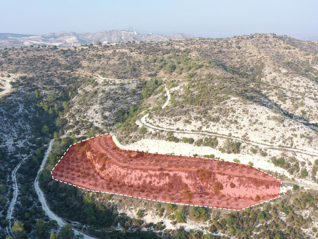 &Chi;&omega;&rho;ά&phi;&iota; - &Kappa;ά&tau;&omega; &Delta;&rho;&upsilon;&sigmaf;, &Lambda;ά&rho;&nu;&alpha;&kappa;&alpha;