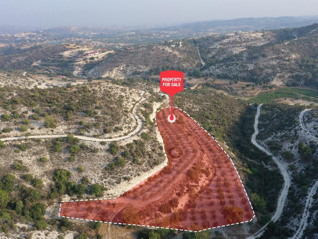 &Chi;&omega;&rho;ά&phi;&iota; - &Kappa;ά&tau;&omega; &Delta;&rho;&upsilon;&sigmaf;, &Lambda;ά&rho;&nu;&alpha;&kappa;&alpha;