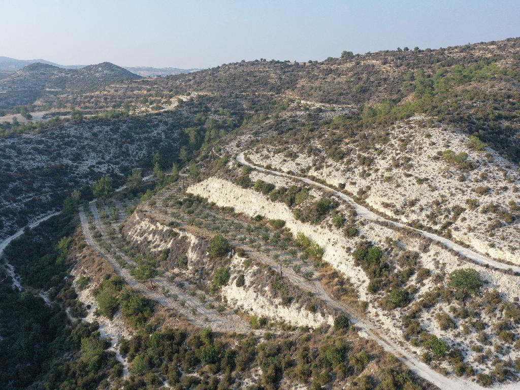 &Chi;&omega;&rho;ά&phi;&iota; - &Kappa;ά&tau;&omega; &Delta;&rho;&upsilon;&sigmaf;, &Lambda;ά&rho;&nu;&alpha;&kappa;&alpha;