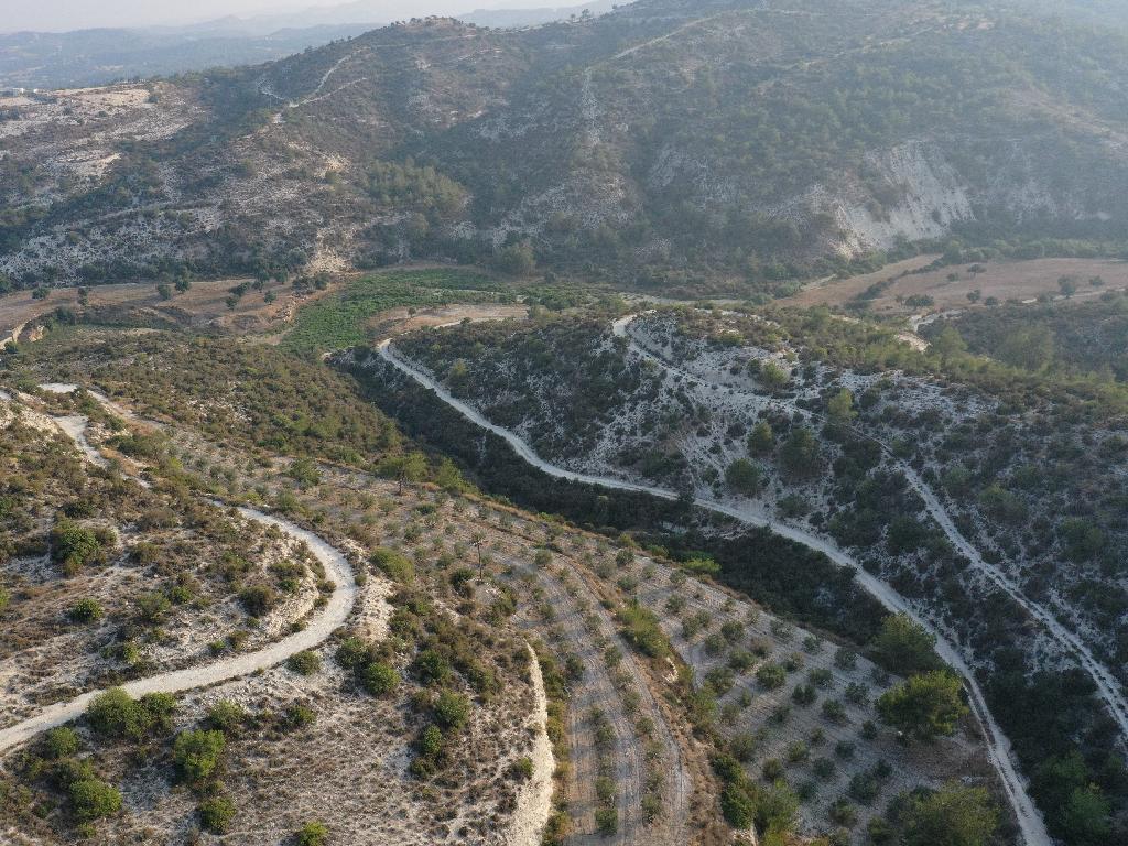 &Chi;&omega;&rho;ά&phi;&iota; - &Kappa;ά&tau;&omega; &Delta;&rho;&upsilon;&sigmaf;, &Lambda;ά&rho;&nu;&alpha;&kappa;&alpha;