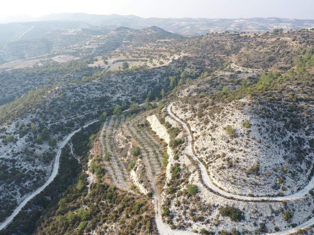 &Chi;&omega;&rho;ά&phi;&iota; - &Kappa;ά&tau;&omega; &Delta;&rho;&upsilon;&sigmaf;, &Lambda;ά&rho;&nu;&alpha;&kappa;&alpha;