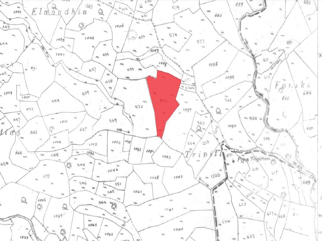 Field-Pachna-PR40315