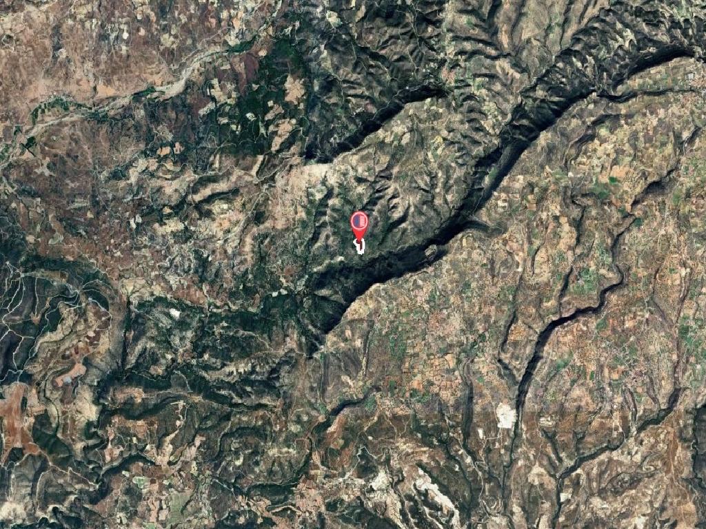 Field-Dora-PR41489