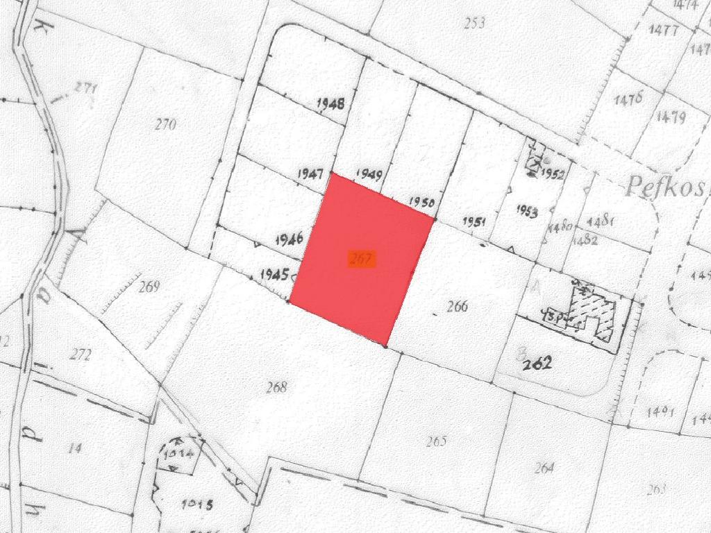 Field-Lakatameia-PR41557