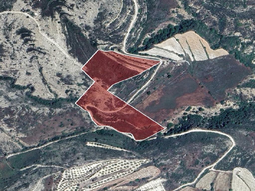 Field-Pachna-PR43074