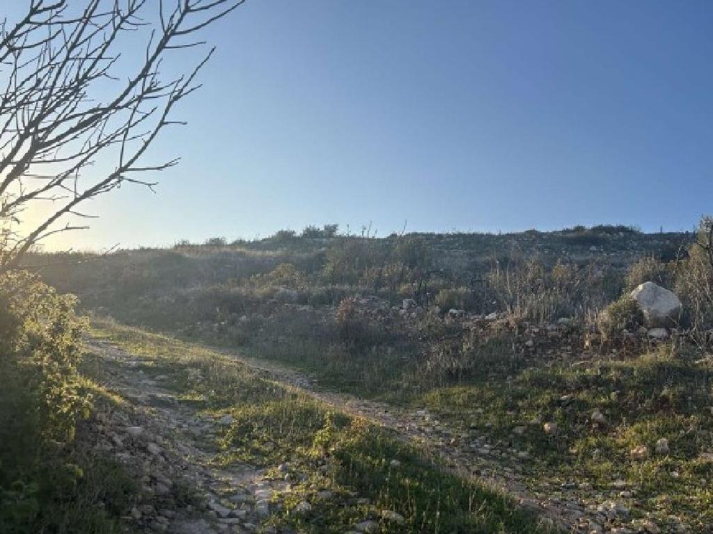 Field (share) - Fasoula, Limassol