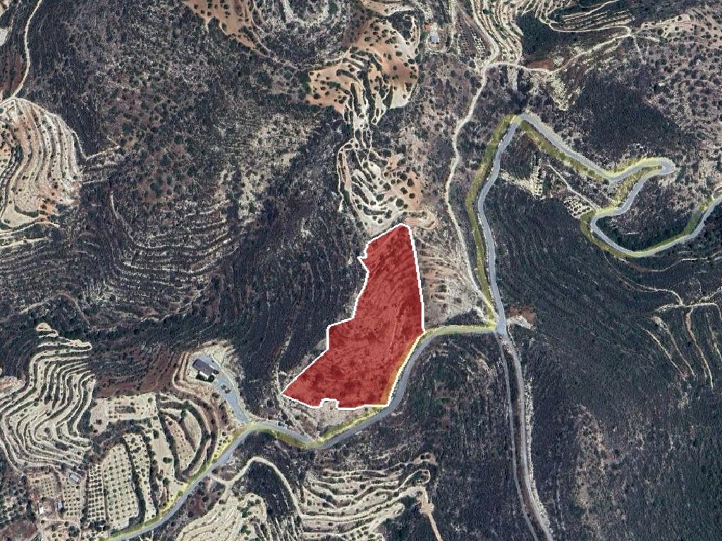 Field (share) - Fasoula, Limassol