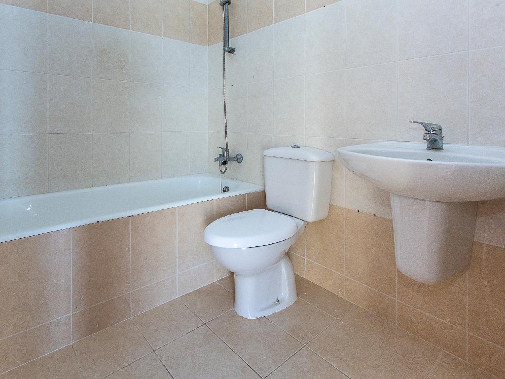 Flat-Pegeia-PR45514