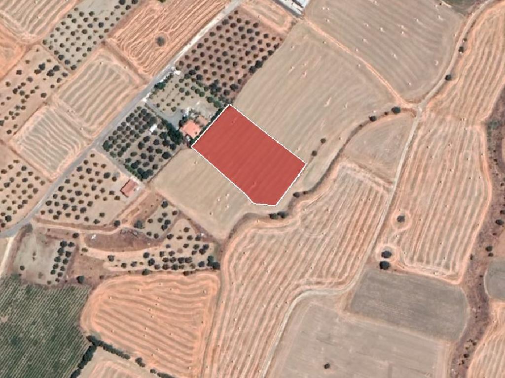 Field-Ergates-PR12217