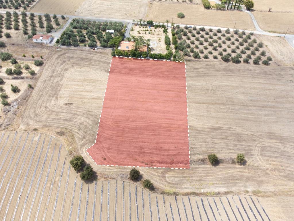 Field-Ergates-PR12217