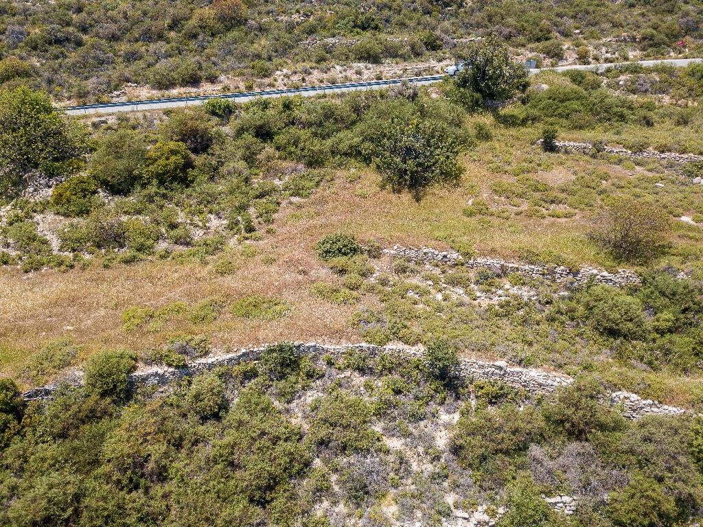 Field - Pachna, Limassol