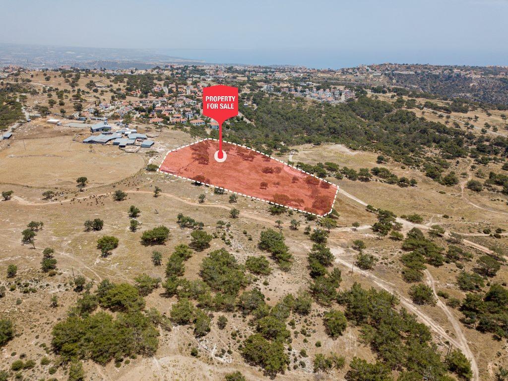 Χωράφι - Πισσούρι, Λεμεσός