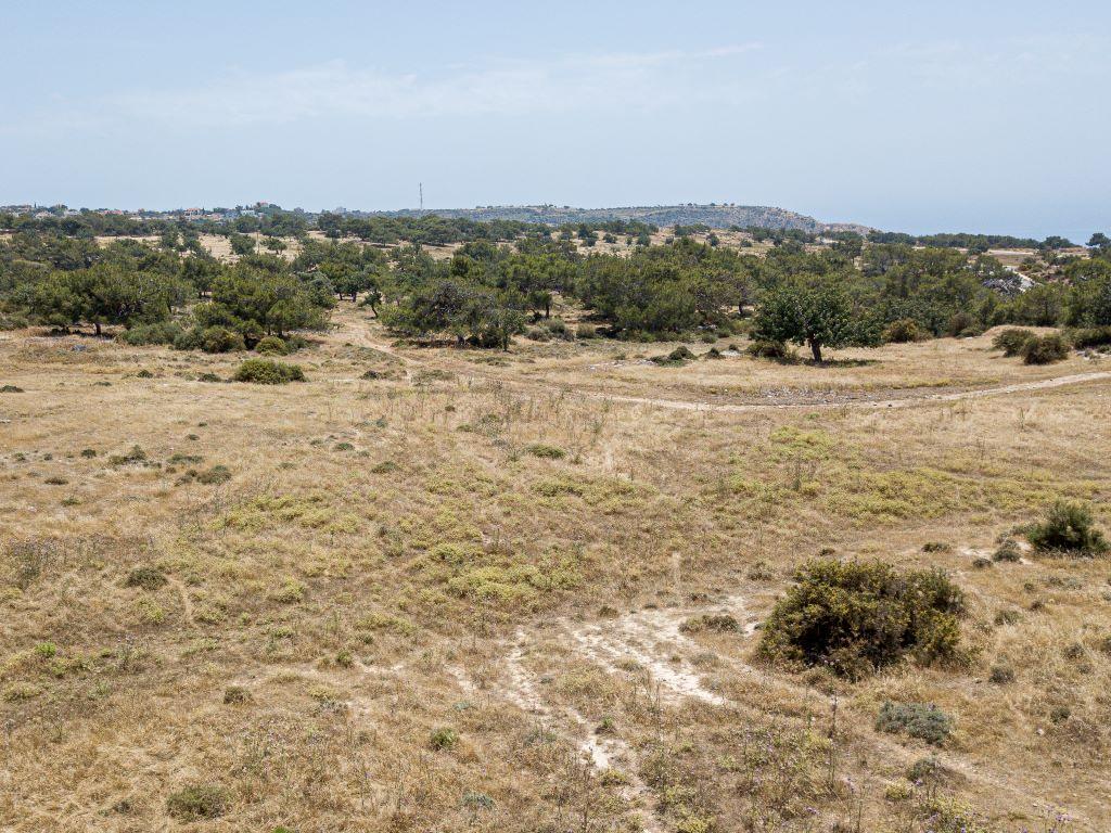 Field-Pissouri-PR34288