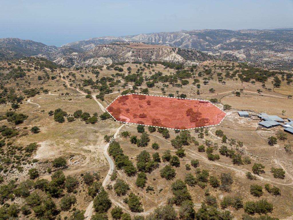 Χωράφι - Πισσούρι, Λεμεσός