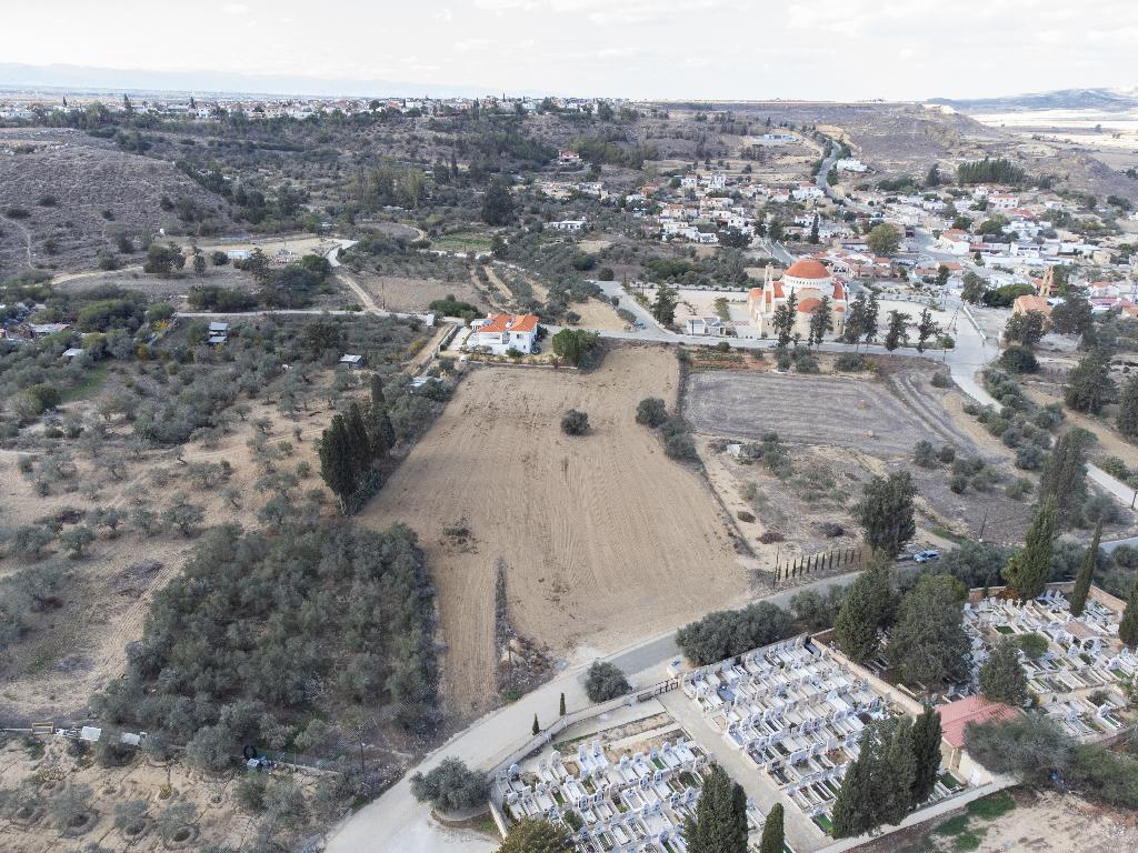 Field-Mammari-PR34966