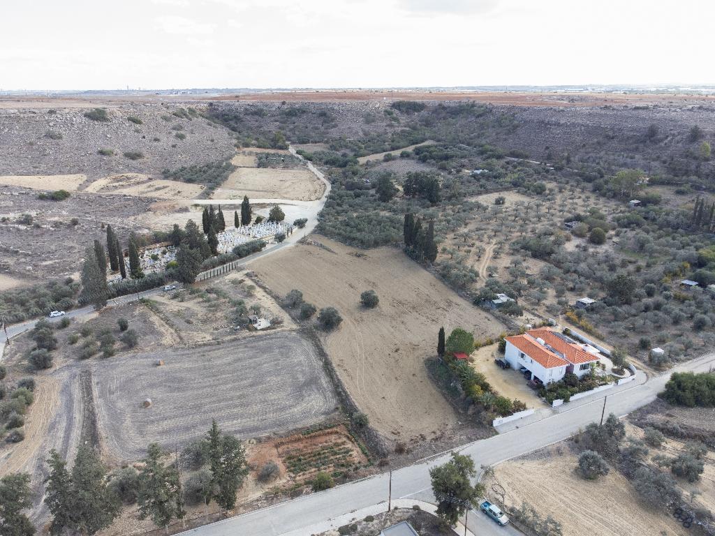Field-Mammari-PR34966