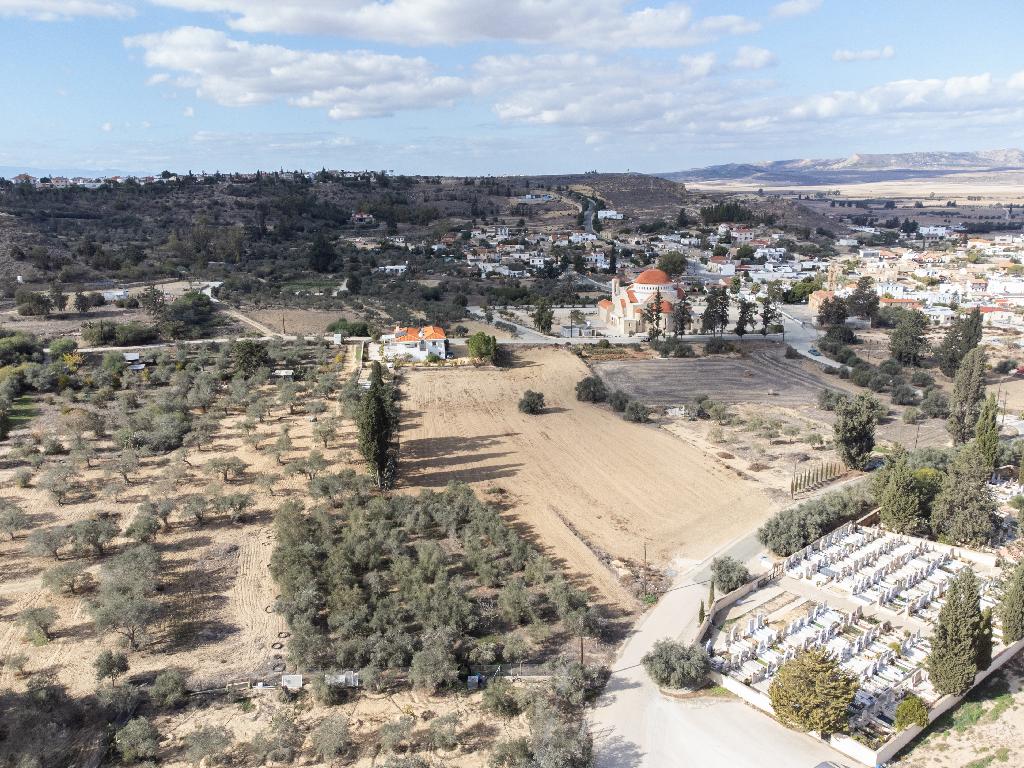 Field-Mammari-PR34966