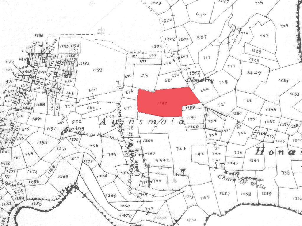 Field-Mammari-PR34966