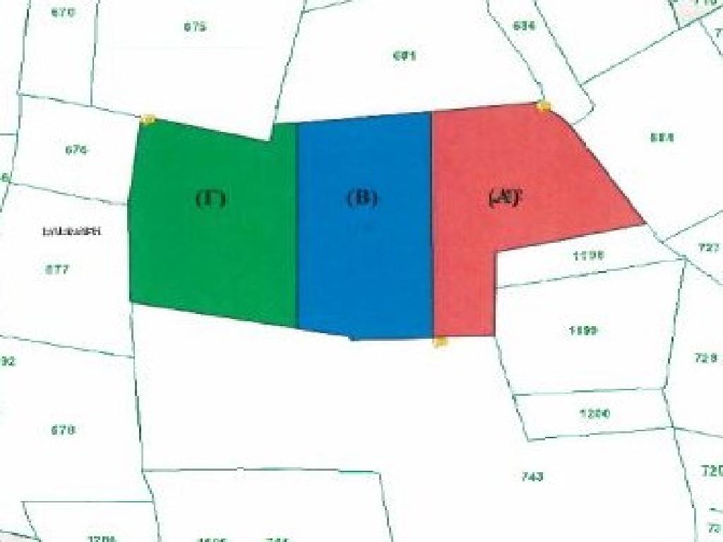 Field-Mammari-PR34966