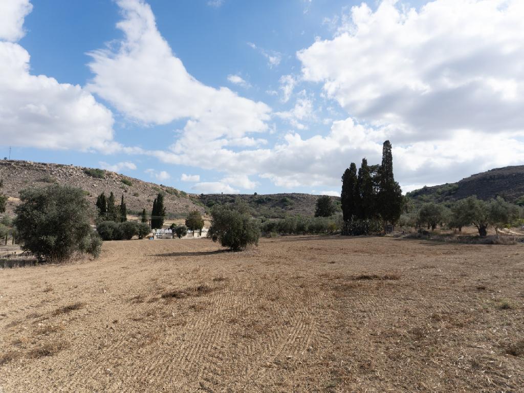 Field-Mammari-PR34966